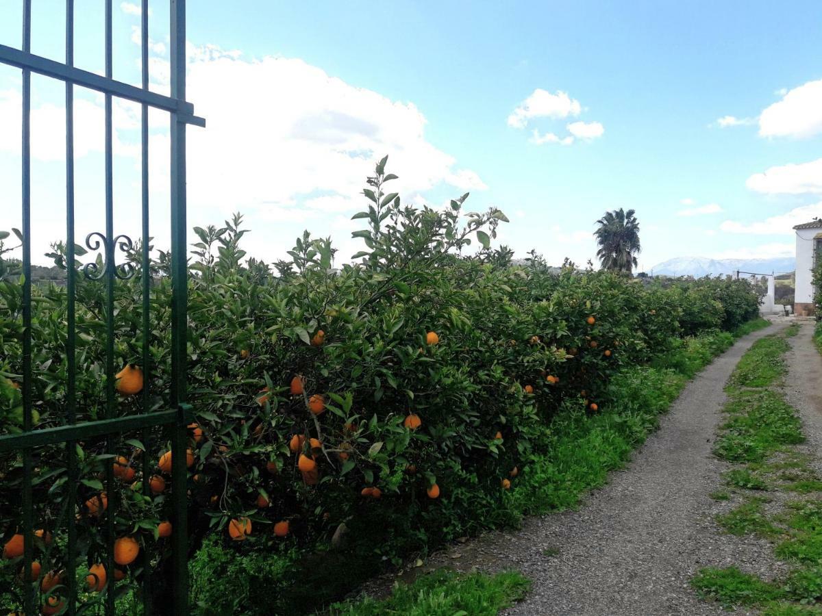 פיסארה Casa Rural La Estrella מראה חיצוני תמונה